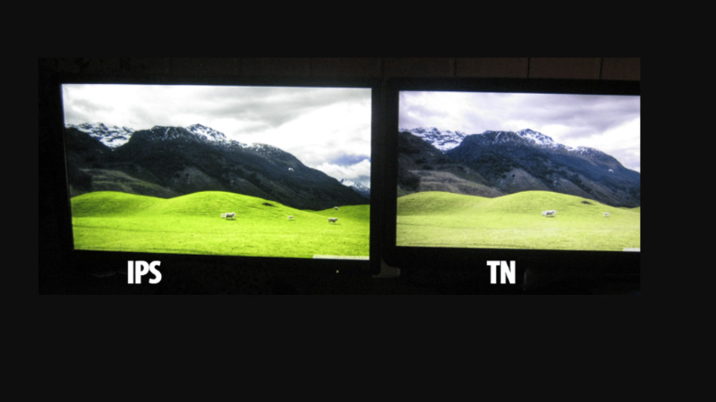 So sánh màn hình IPS và TN